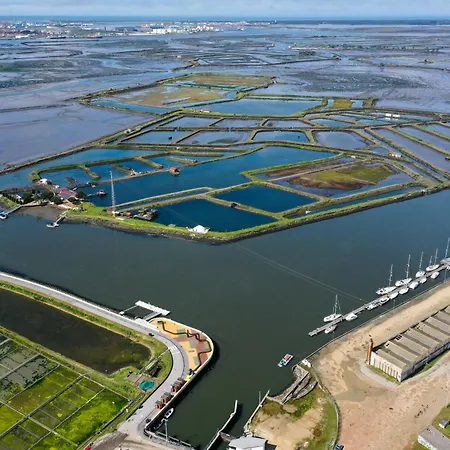 アパート Live In