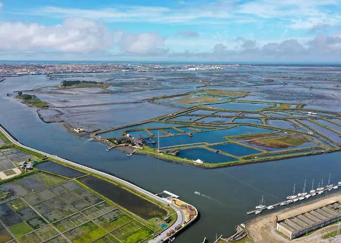 アパート Live In