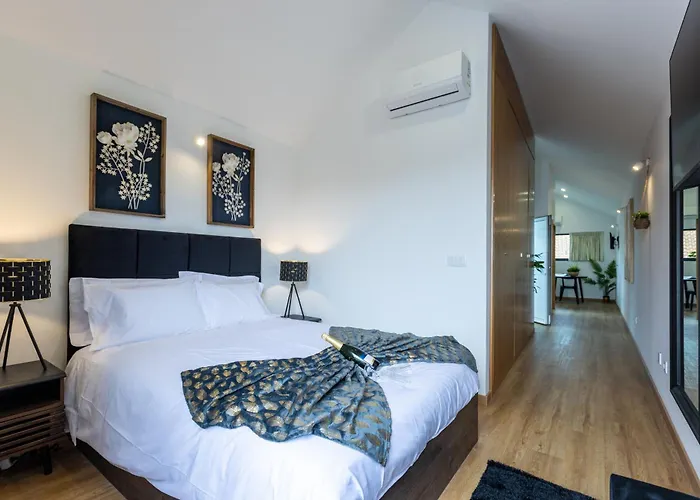 Apartamento Live In Aveiro