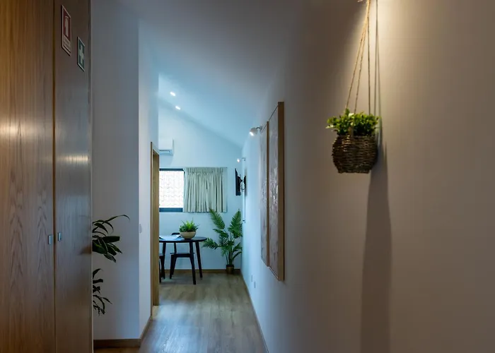 Apartamento Live In *